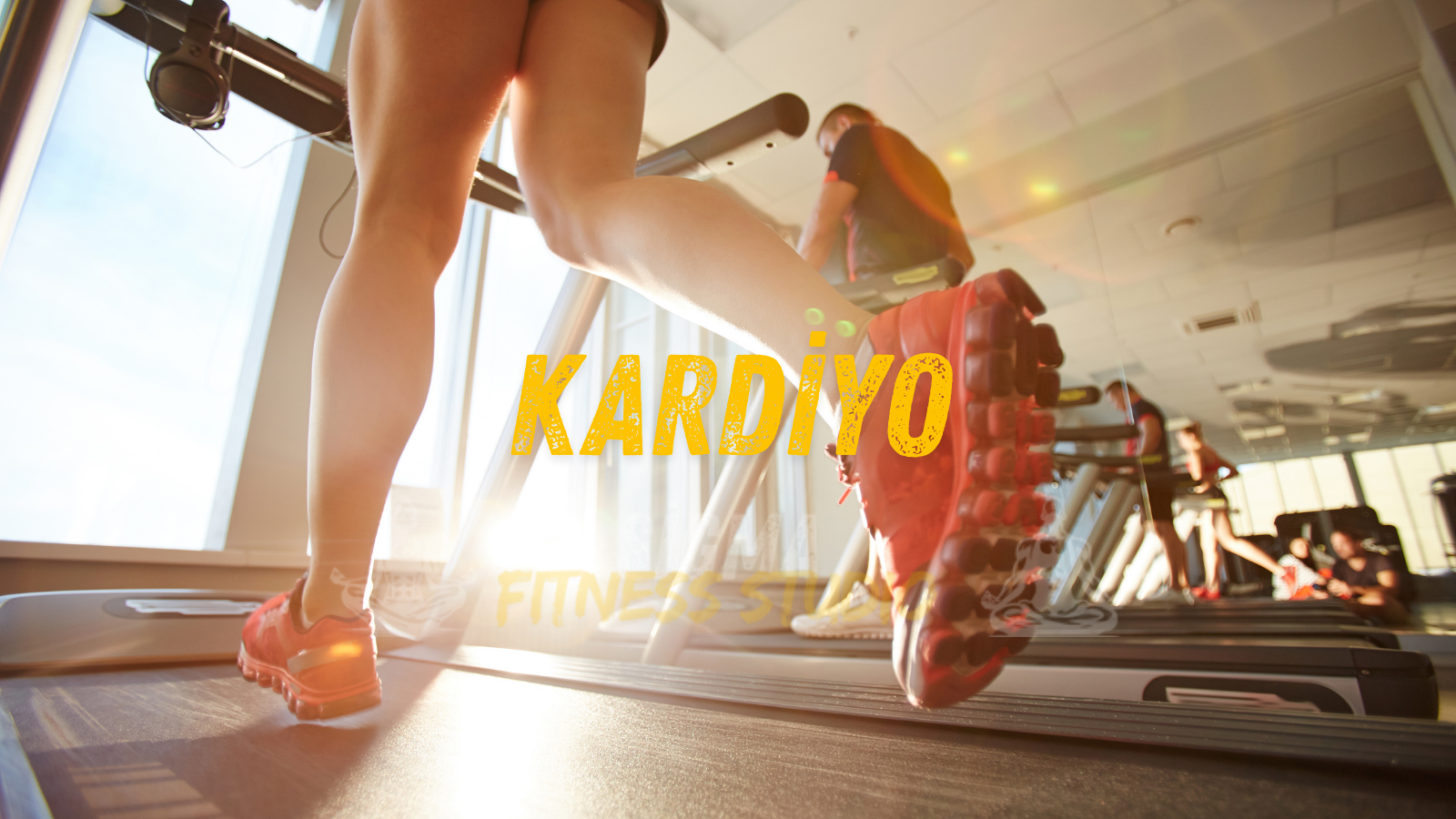 Anasayfa kardiyo